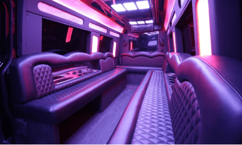 Durham 14 Passenger Sprinter Bus Interior